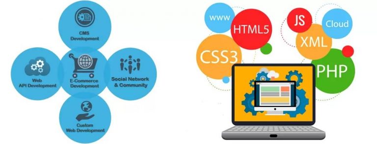 Web development info graphics